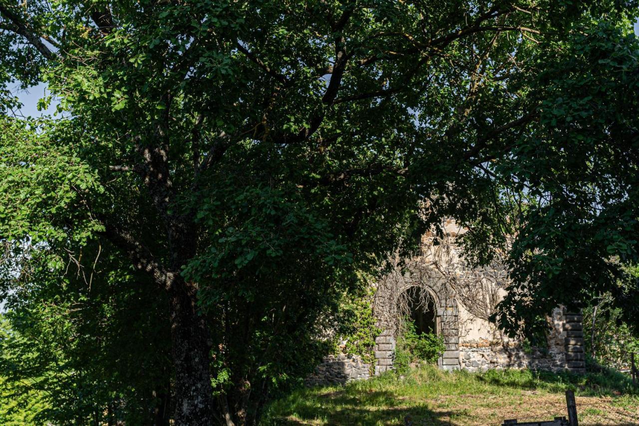 Le Casette Di Luisa Villa Bagnoregio Dış mekan fotoğraf